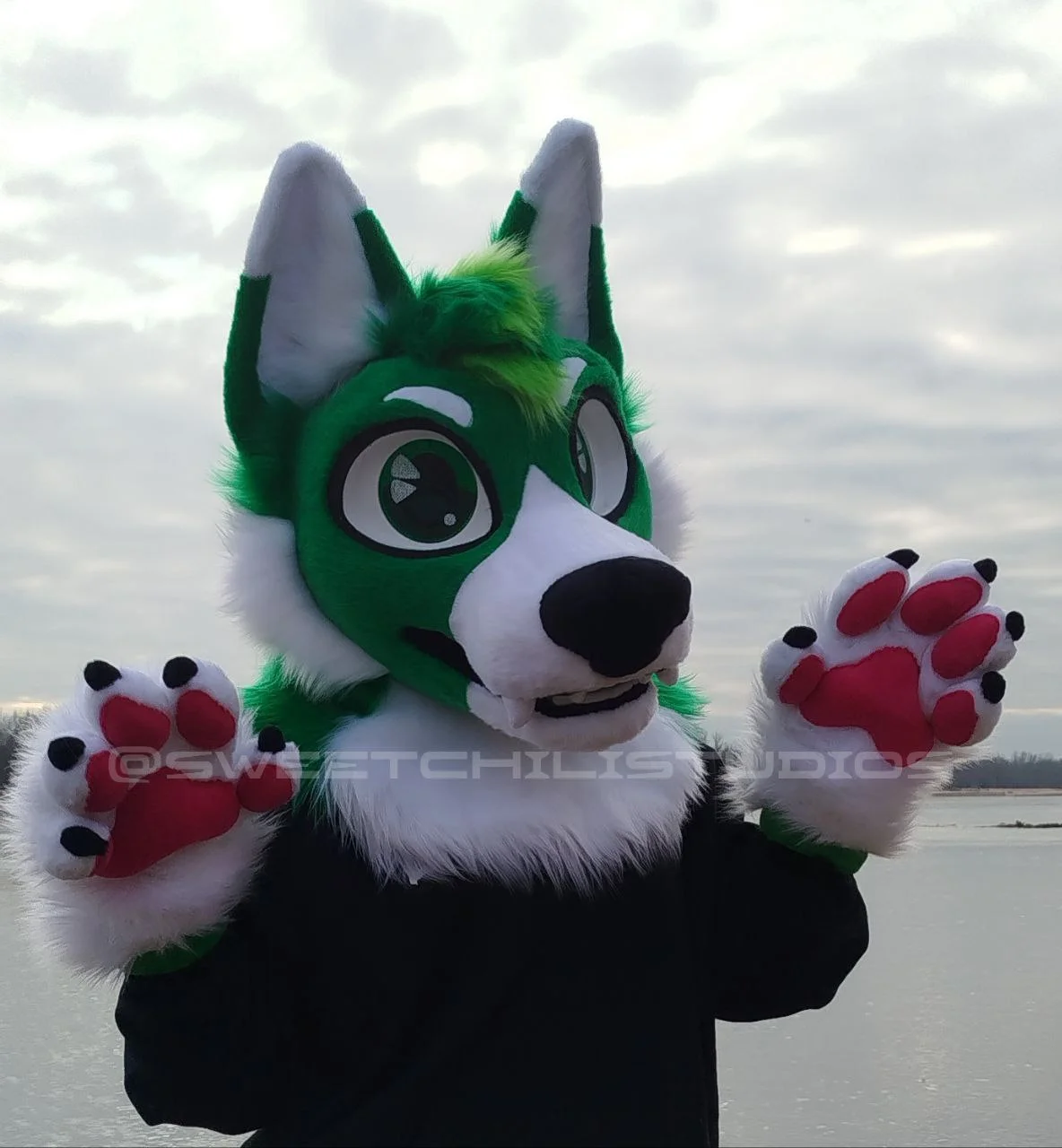 photo_2025-01-06_21-14-24 (2).jpg