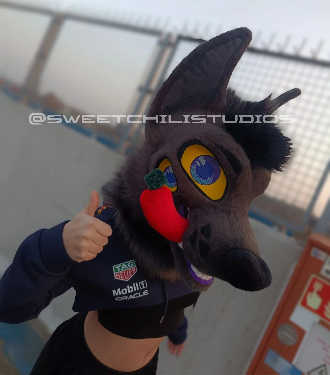 photo_2025-01-18_20-49-58 (2).jpg