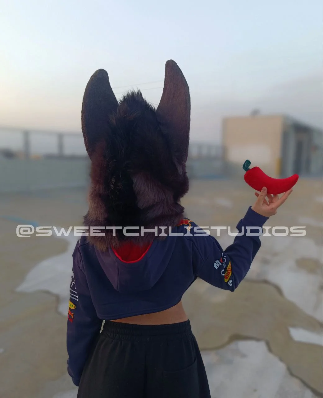 photo_2025-01-18_20-49-58 (4).jpg