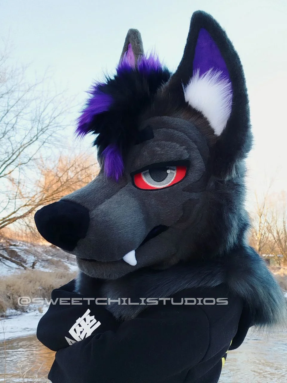 photo_2025-02-17_10-58-53 (3).jpg