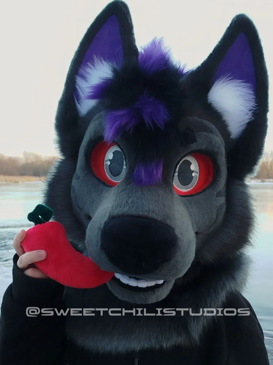 photo_2025-02-17_10-58-53 (4).jpg