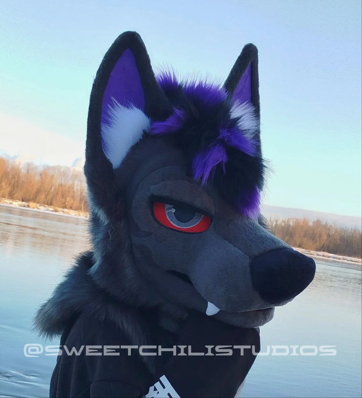 photo_2025-02-17_10-58-53 (5).jpg