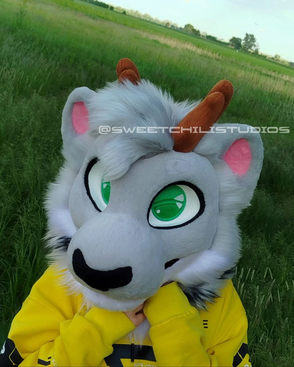 Star the snow leopard