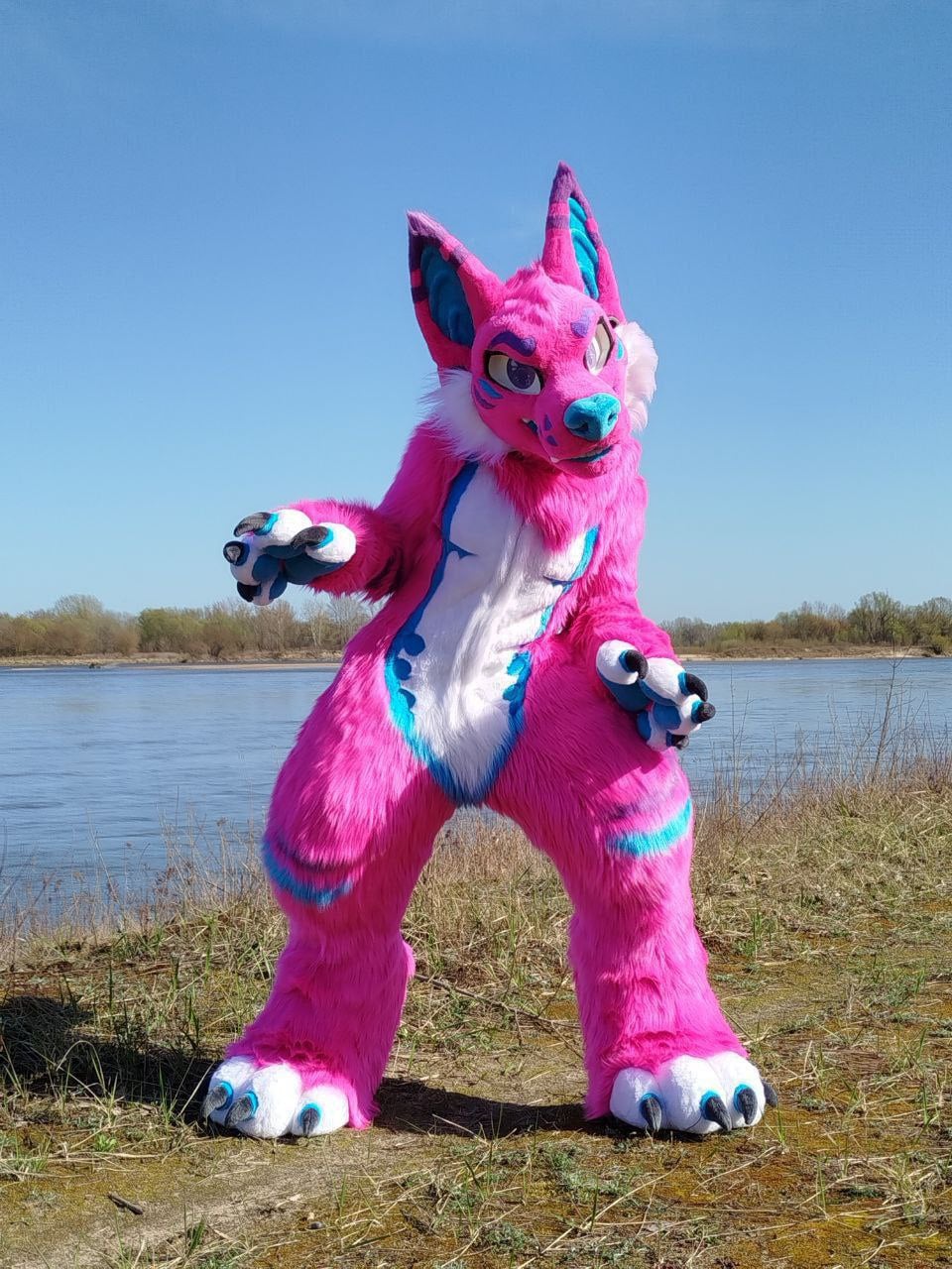 Stiles the australian dingo 1.0