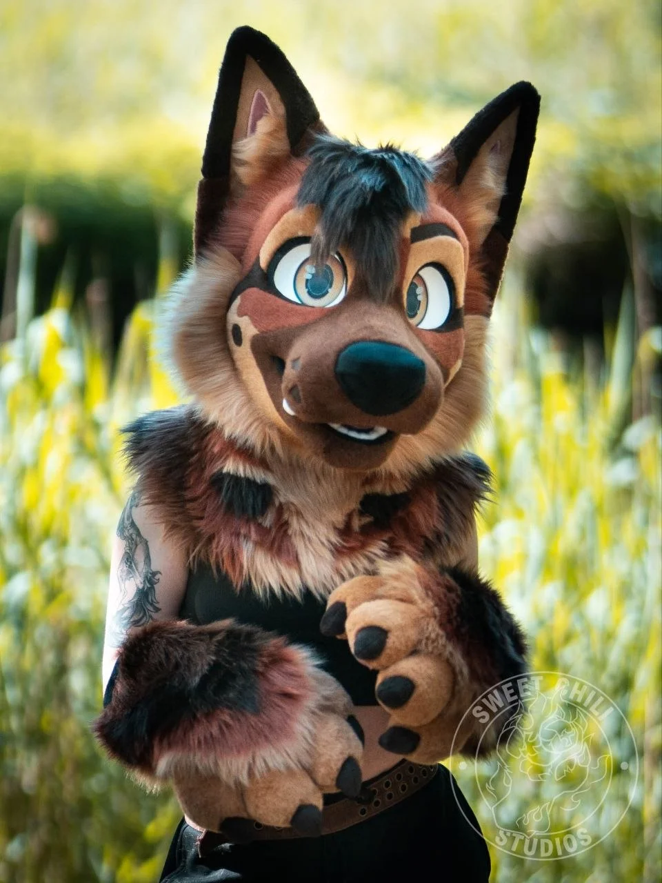 German shepher premade