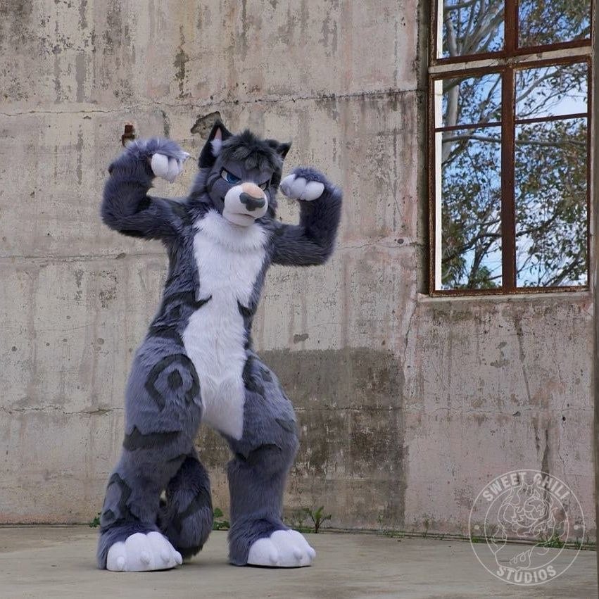 Thunder the snow leopard