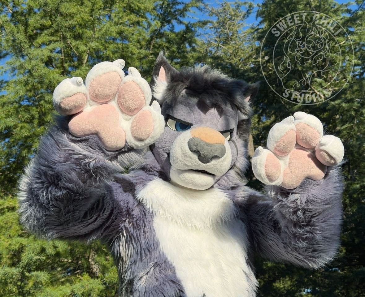 Thunder the snow leopard fursuit photo 7